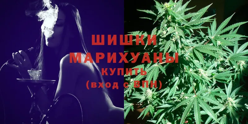 Шишки марихуана White Widow  где найти наркотики  Нарткала 